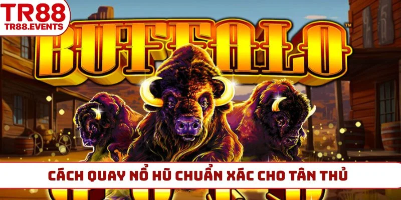 Cách quay nổ hũ chuẩn xác cho tân thủ